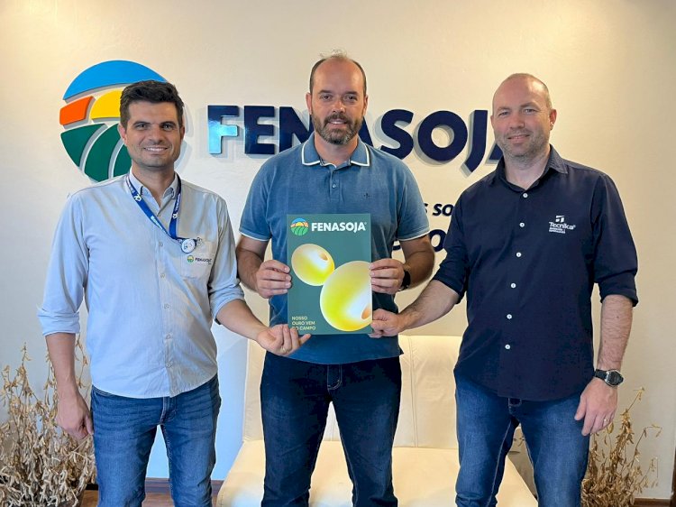 Estacionamento da Fenasoja 2026 passa a contar com empresa especializada