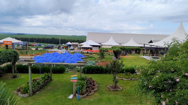 Emater/RS-Ascar apresenta espaços temáticos na ExpoAgro Cotricampo