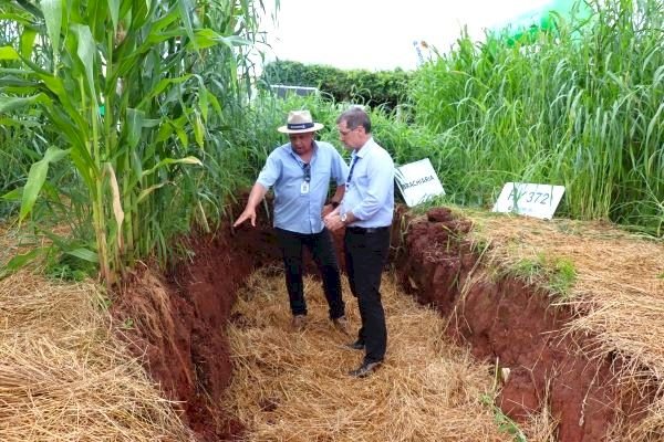 Expodireto Cotrijal: Operação Terra Forte evidencia práticas que tornam o solo mais produtivo e resiliente à seca