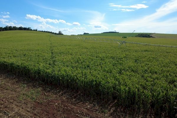 Programa Supera Estiagem impulsiona irrigação e transforma produção agrícola no RS