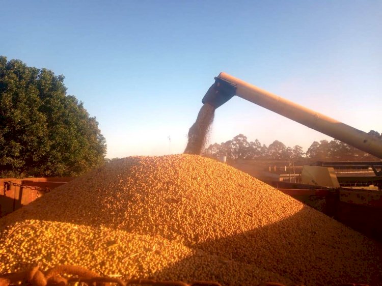 Fenasoja Soy Summit: Descarbonização e combustíveis verdes pautam o maior debate sobre soja do Brasil