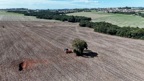 Produtores gaúchos preparam plantio das culturas de inverno