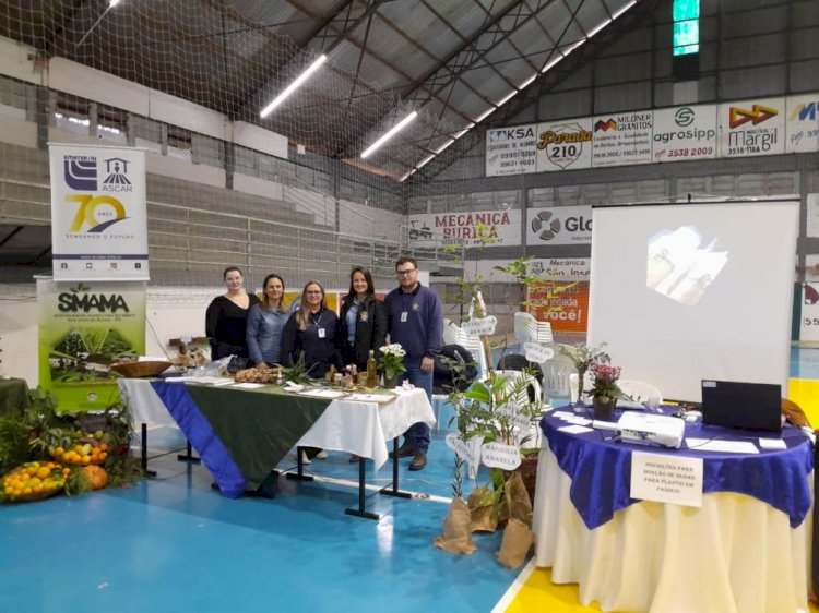 Feira Municipal promove ações de saúde e bem-estar em Boa Vista do Buricá