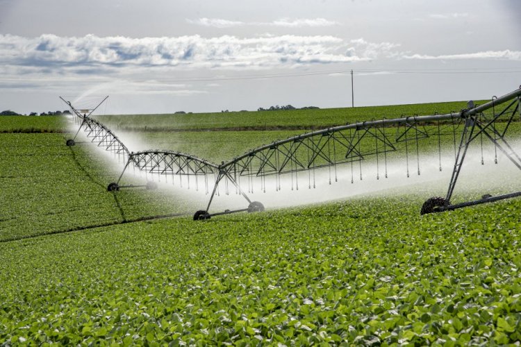 Plano Safra 2026/27 amplia recursos para irrigação e reduz juros para estimular modernização no campo