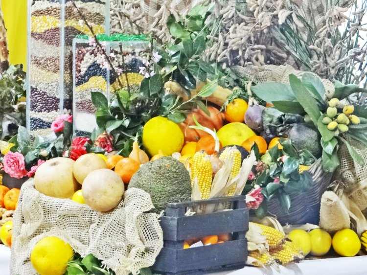 Agricultura Familiar receberá destaque com programação especial em Santa Rosa