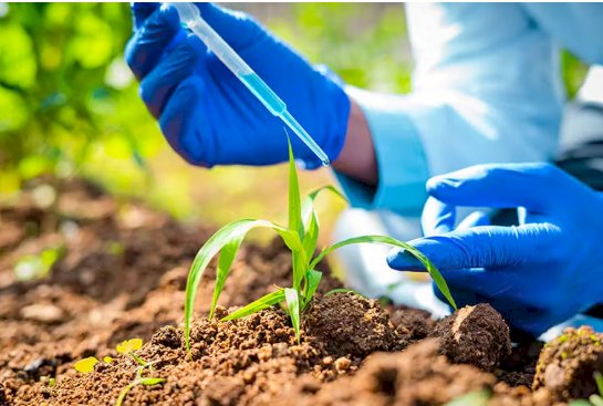 Bioinsumos: a agricultura do futuro